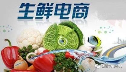 【论文】生鲜电商同城冷链物流配送研究